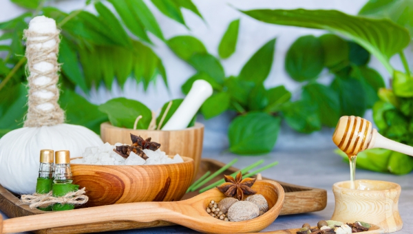 The Global Rise of Ayurveda: Trends and Market Insights